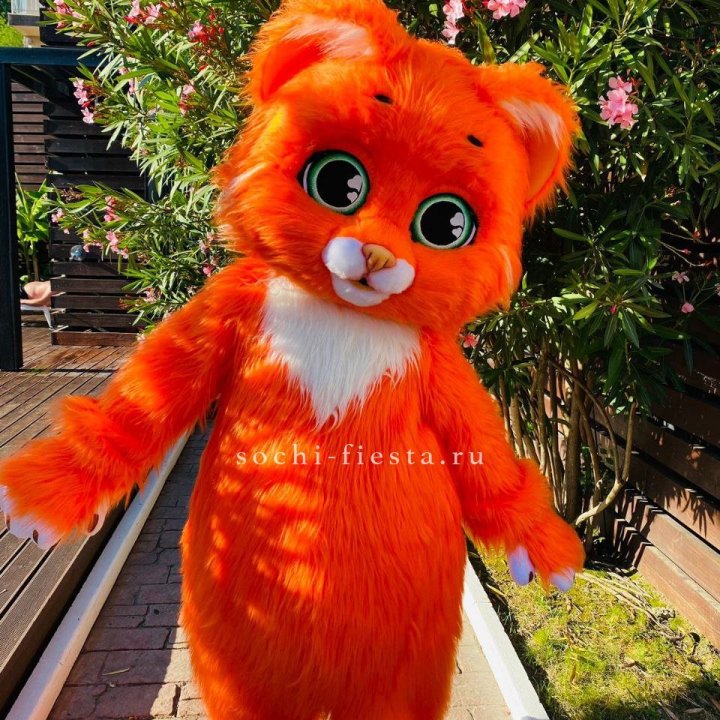Аниматор Котик в Фукуоке