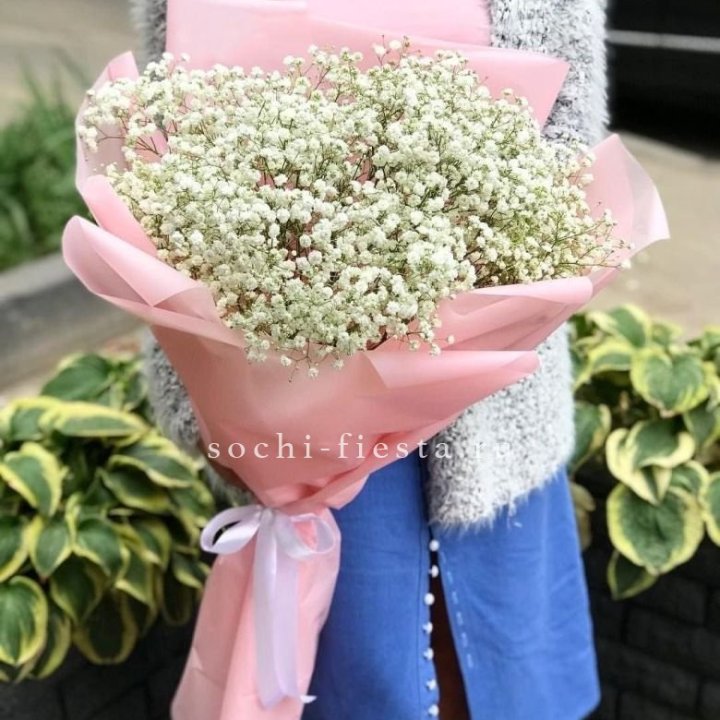 Белоснежные гипсофилы в Фукуоке