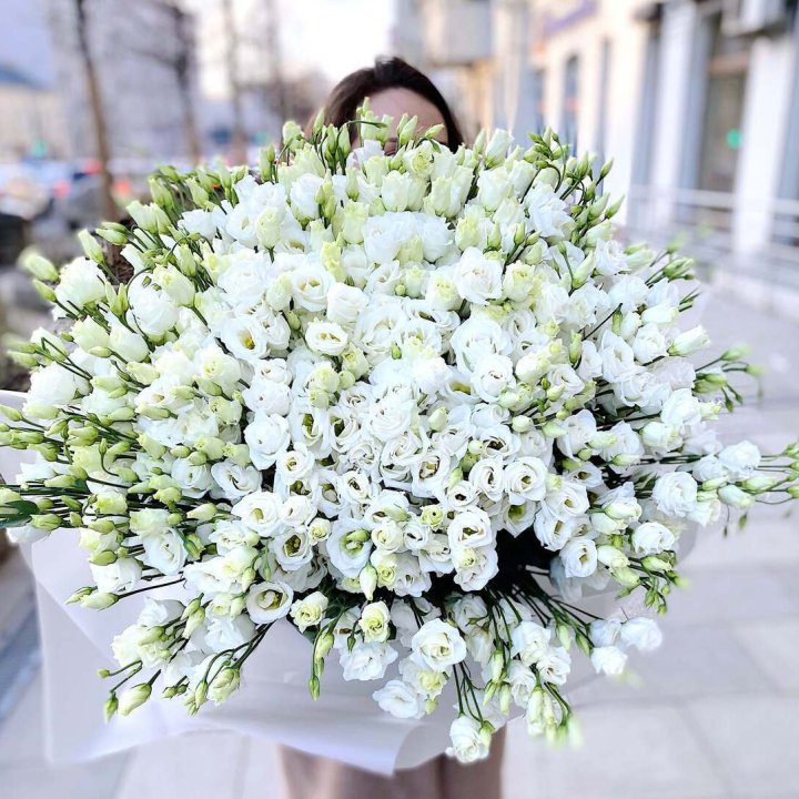 101 белая эустома в Фукуоке